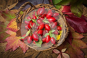 Basket with rose hips