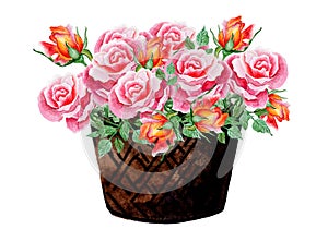 Basket Of Roses. Watercolor Illustration. Ideal for Wedding Projects