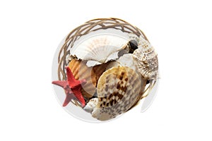 Basket of sea shells isolated