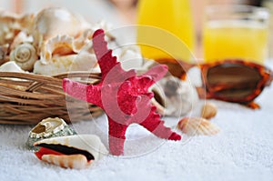 Basket with sea shells