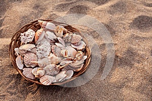 Basket with shells. Sea and ocean shells on the sand background, Sea vacations, shells. Copy space