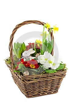 Basket with spring flowers