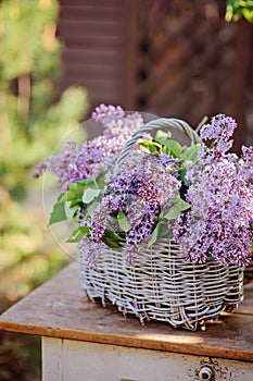 Basket of spring lilacs on vintage bureau in spring garden