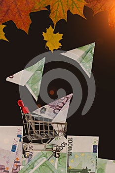 The basket stands on euro banknotes,on a black background and autumn leaves. In a trolley, an airplane made from a 500 euro