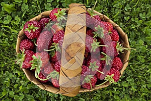 Basket with strawberries on a background of green grass