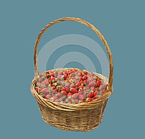 basket of strawberries isolate on blue