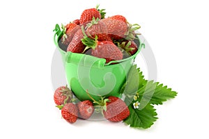 Basket of Strawberries on white isolated background