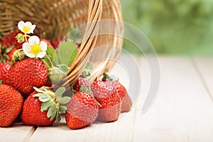 Basket with strawberry