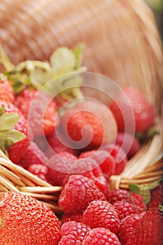 Basket with strawberry and raspberry