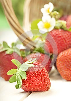 Basket with strawberry on table