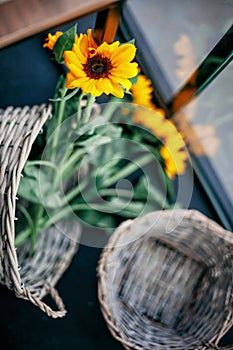 A basket of sunflowers in display