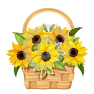 Basket with sunflowers. Vector illustration. photo