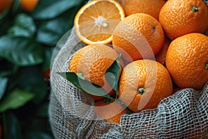 Basket of tangerines with green leaves on a textured fabric