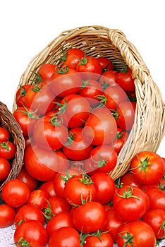 Basket with tomatoes