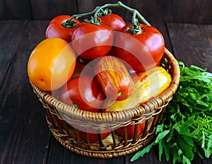 Basket with tomatoes of different varieties and arugula sheaf on dark wooden background