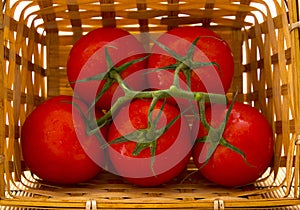A basket of tomatoes with a sprig