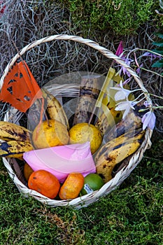 Basket with tropical fruits