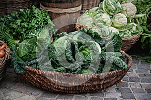 Basket with various cabbages Savoy , romanesco, cauliflower, white head , broccoli, brussels sprouts, Chinese