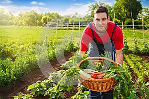 Verdura agricoltori mani 