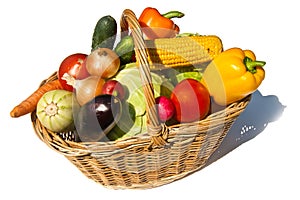 Basket with vegetables
