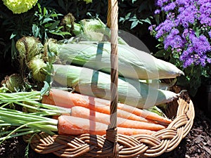 Basket Of Vegetables