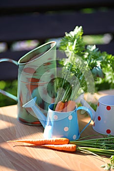 Basket with vegetables and flowers from the vegetal garden