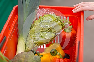 Basket with vegetables and herbs and a female hand.