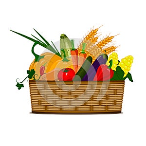Basket with vegetables. Vector illustration for agricultural and farming fairs.