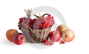 Basket with a viburnum and apples photo