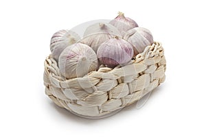 Basket with whole fresh single clove garlic