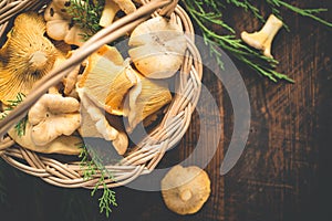 Basket with wild mushrooms chanterelles closeup on a dark background