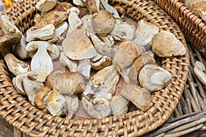 Basket of wild mushrooms cut and prepared