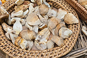 Basket of wild mushrooms cut and prepared photo