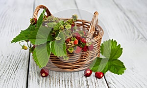 Basket with wild strawberries