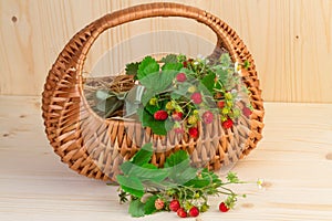 Basket with wild strawberries