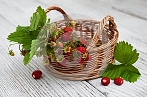 Basket with wild strawberries