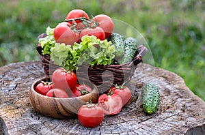 Basket and wooden plate with fresh vegetables (tomatoes, cucumber, chili pepers, dill and lettuce) on wooden background.