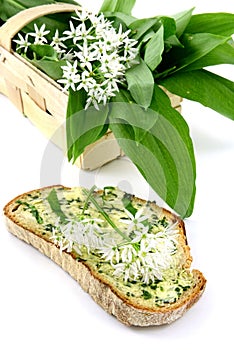 Basket wtih fresh ramson and slice of bread with butter