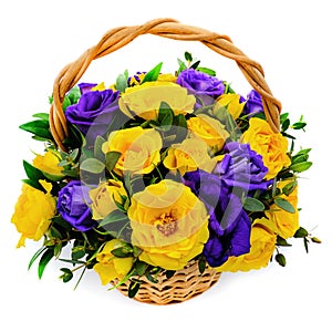 Basket with yellow and blue roses. Beautiful bouquet on white isolated background. Decorative composition of roses. Bright purple