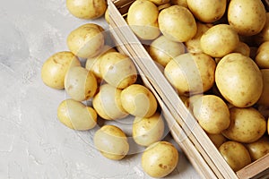 Basket with young potato on gray background