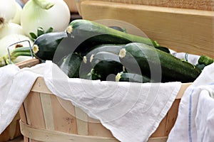 Basket of Zucchini