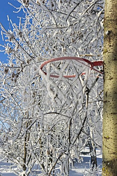 Basketball basket covered with snow
