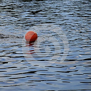 A basketball floats in the lake