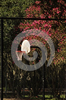 Basketball hoop at Forsyth Park in Savannah, Georgia, USA