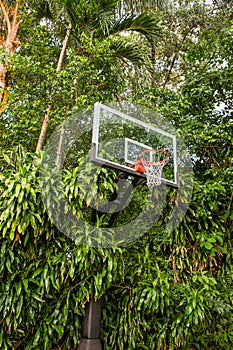 Basketball Hoop outdoors in tropical area green trees and plants in background