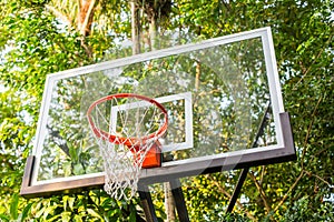 Basketball Hoop outdoors in tropical area trees and palnts in background