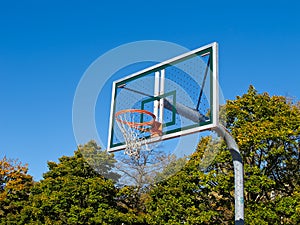 Basketball Net