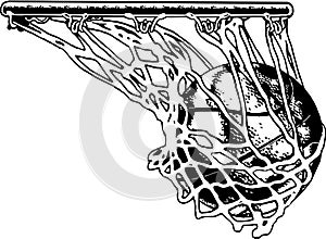 Basketball Net Vector Illustration