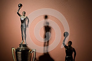 Basketball trophies