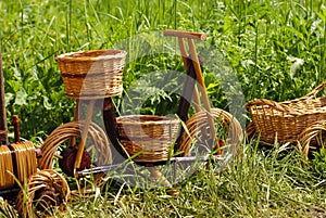 Basketry on nature